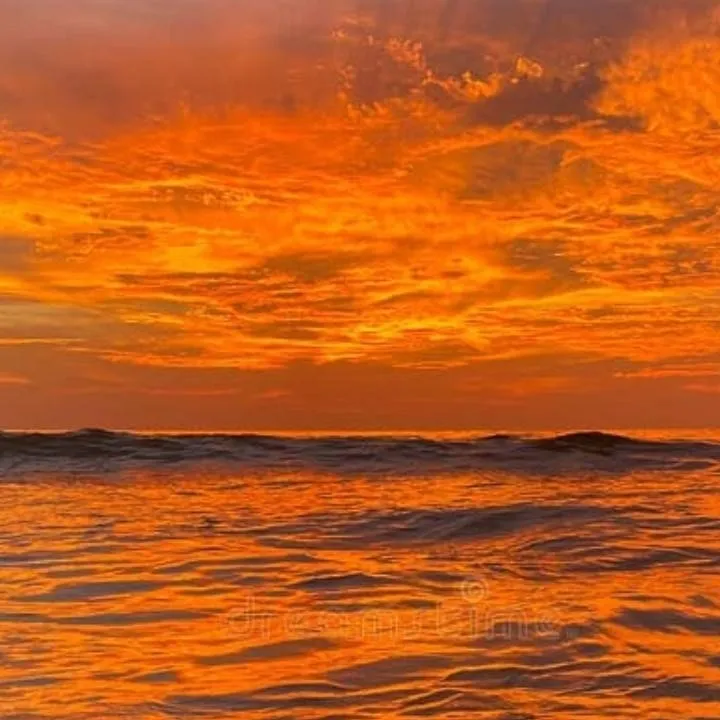 chat with ai character: St cast ~practice~