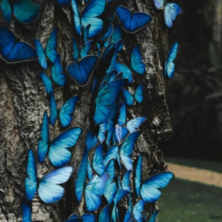 chat with ai character: ~st cast~