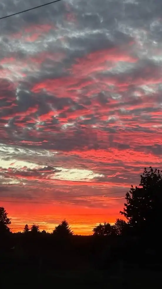 ai character: «cole» background