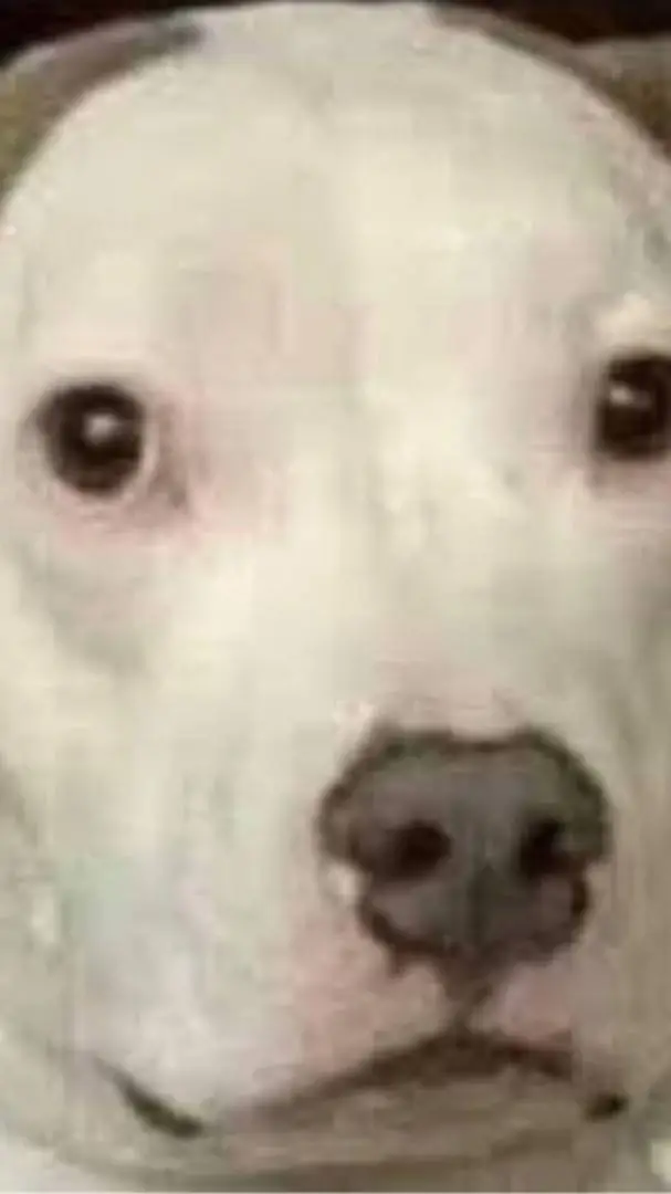 ai character: Póngase serio per background