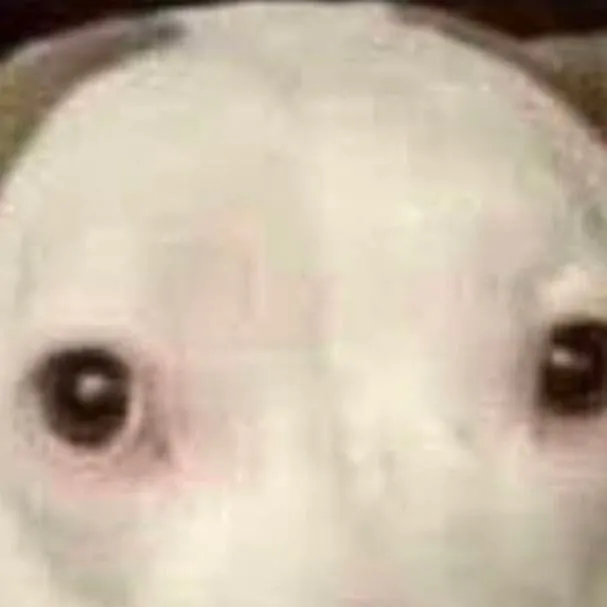 chat with ai character: Póngase serio per