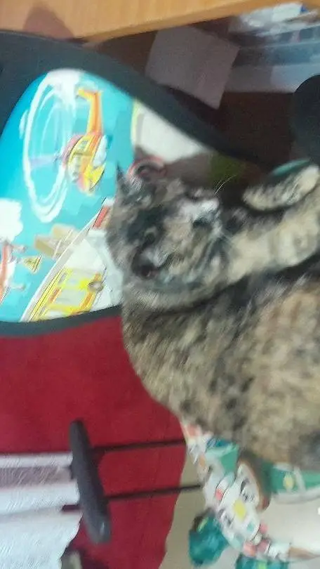 ai character: school background