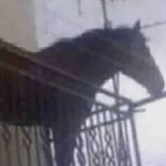 chat with ai character: 🐫𝕛𝕦𝕒𝕟🐫