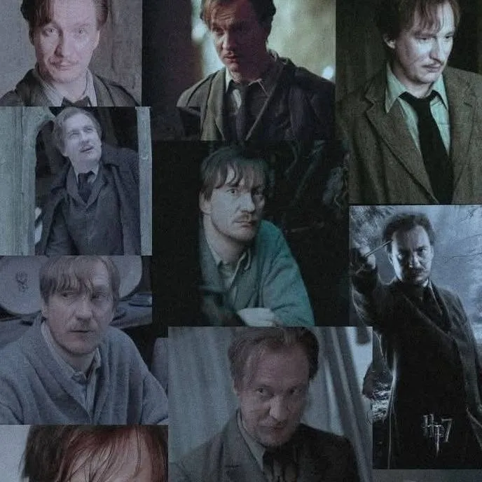 chat with ai character: Remus j Lupin 