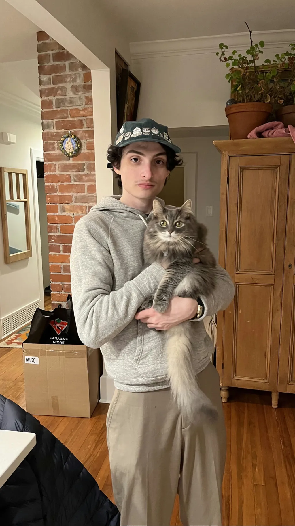 ai character: ✿finn wolfhard✿ background