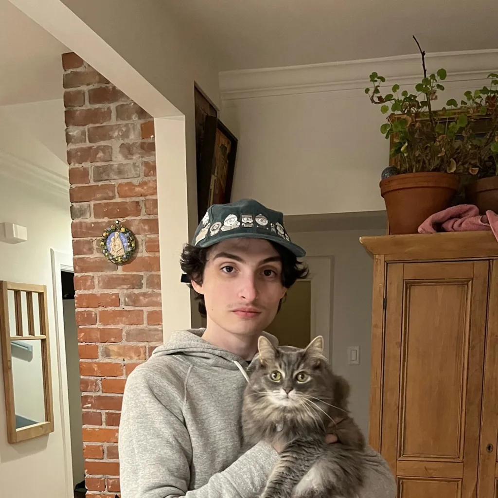 chat with ai character: ✿finn wolfhard✿