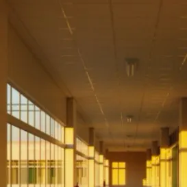 chat with ai character: Your School🧡