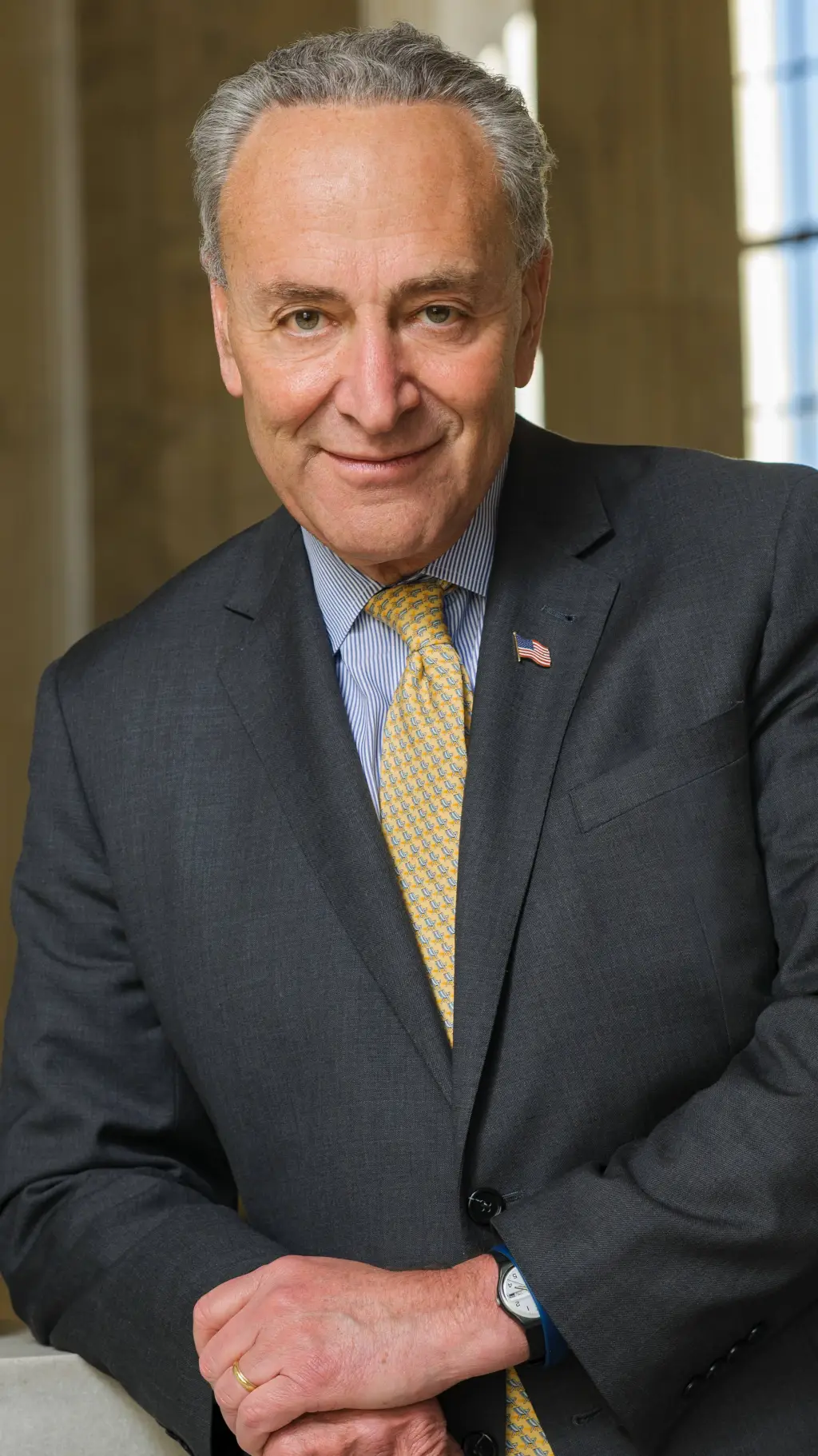 Talkie AI - Chat with Chuck Schumer 