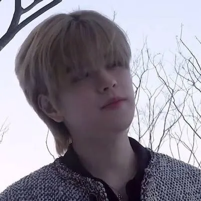 chat with ai character: Kim Seungmin 