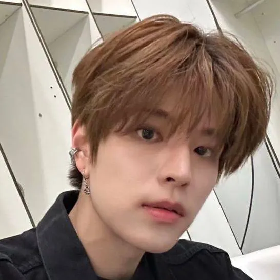 chat with ai character: Kim Seungmin 