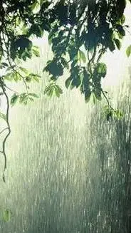 Talkie AI - Chat with Rain