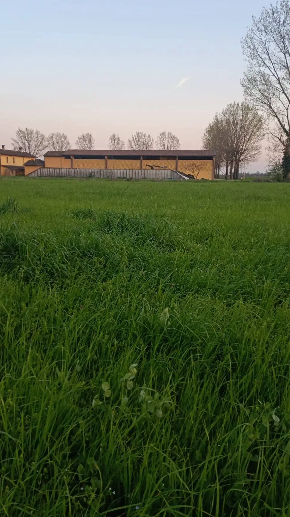 Talkie AI - Chat with gruppo scuola