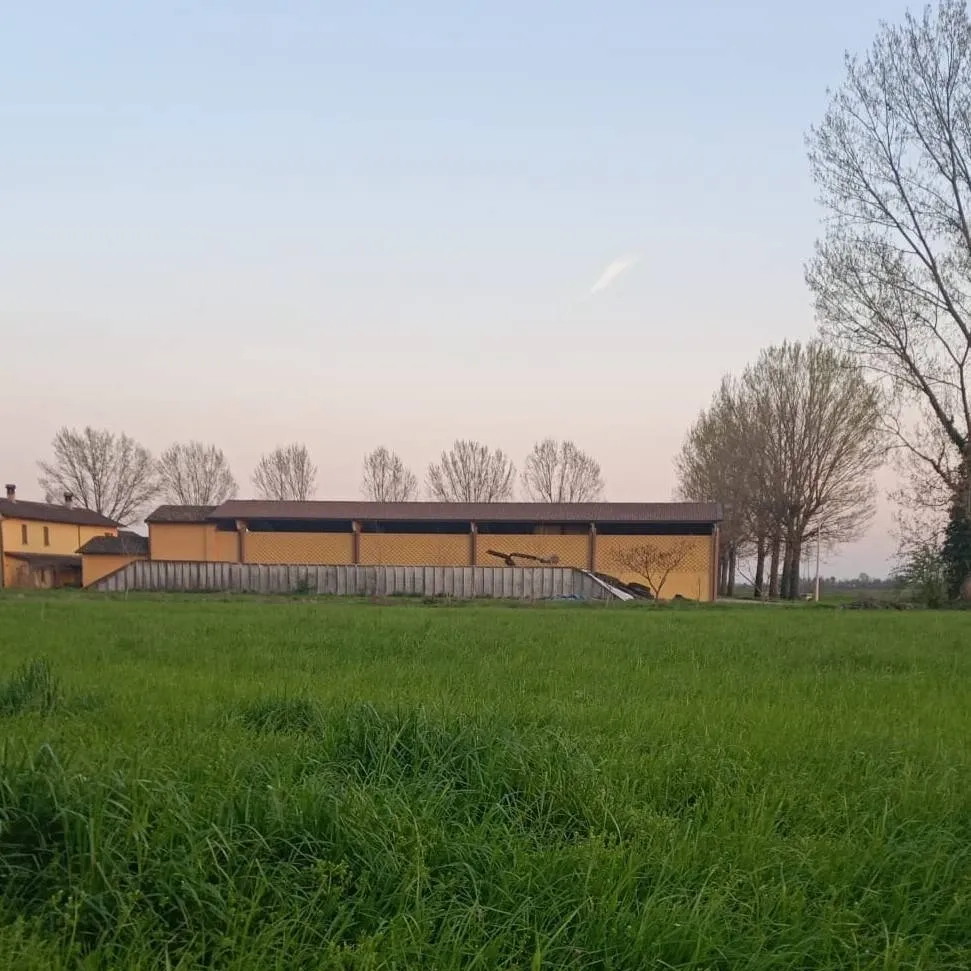 chat with ai character: gruppo scuola