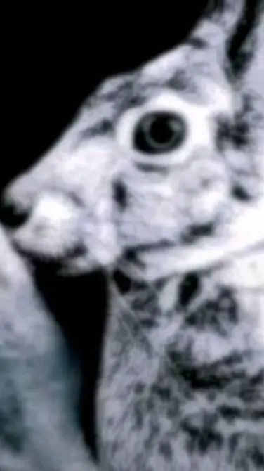 ai character: ESCAPA background