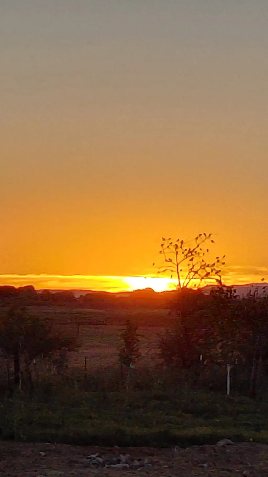ai character: GROUP CHAT background