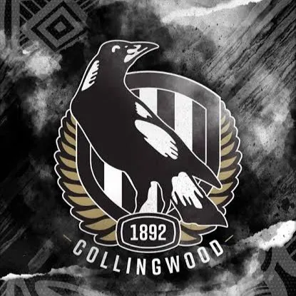 chat with ai character: Collingwood 