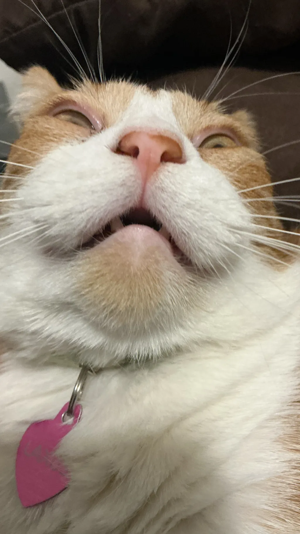 ai character: Laxus background