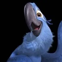 chat with ai character: blu from rio