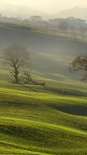 ai character: labubu episode  background