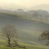 chat with ai character: labubu episode 