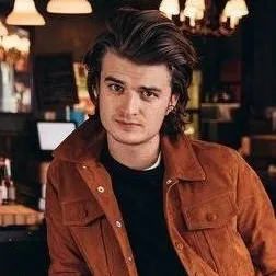 chat with ai character: STEVE HARRINGTON 