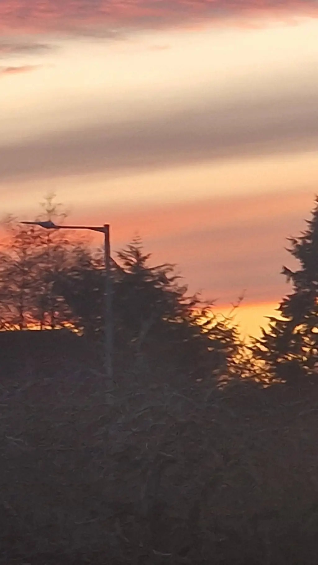 ai character: switched clothes background