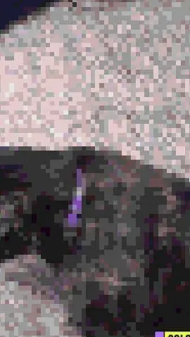 ai character: DW PICK ME🤮🤢 background