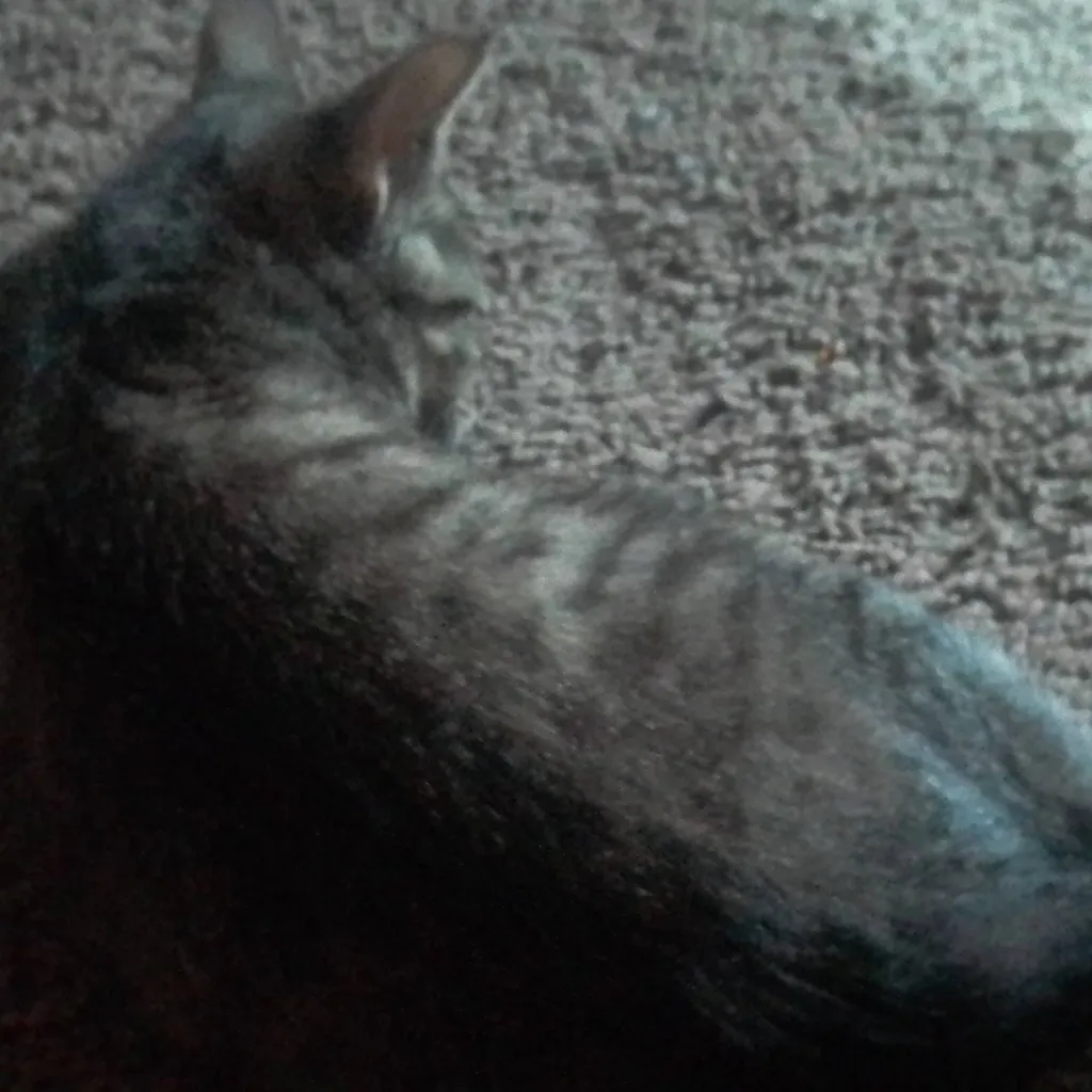 chat with ai character: даня