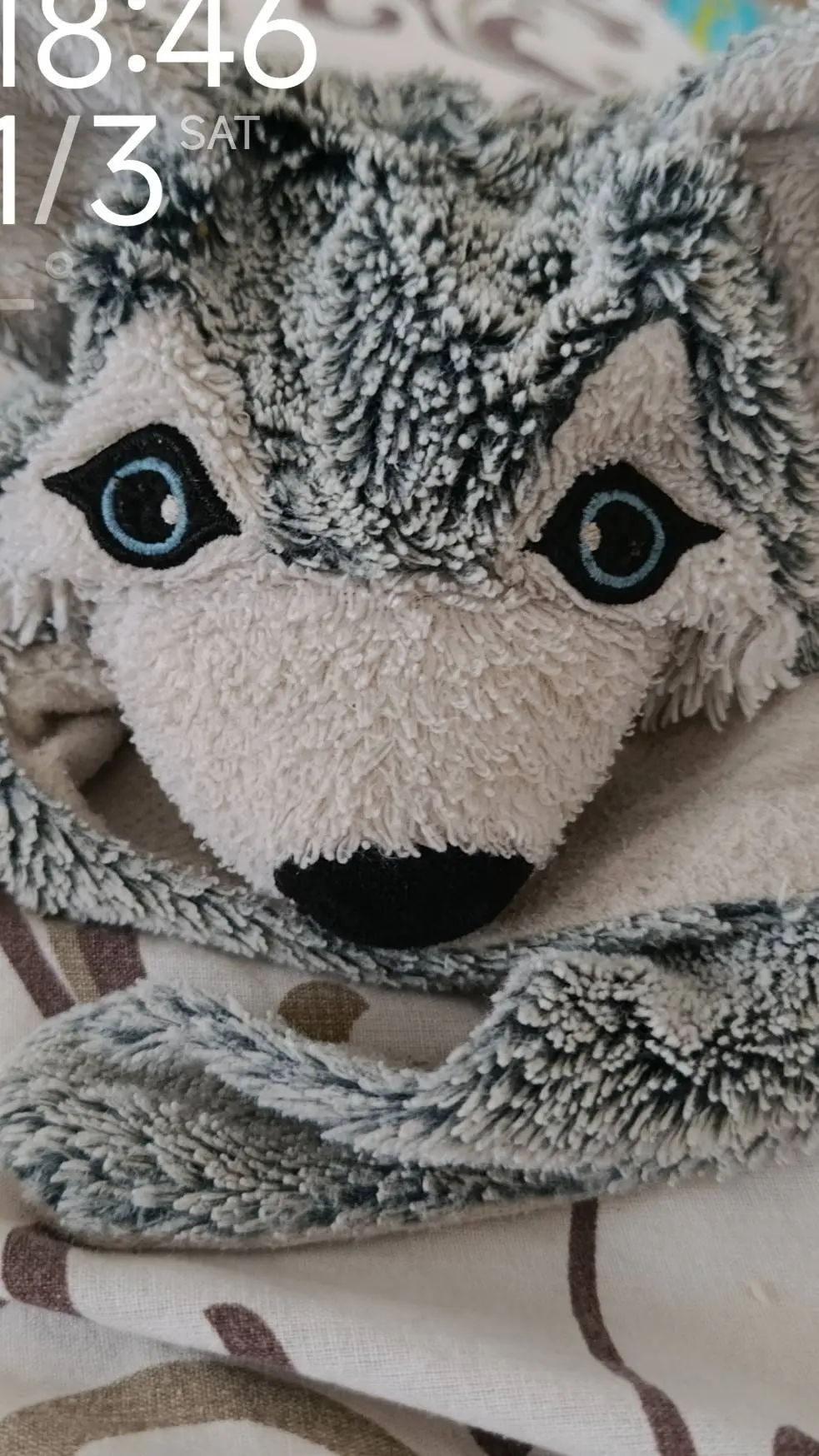 ai character: orbthewolf background