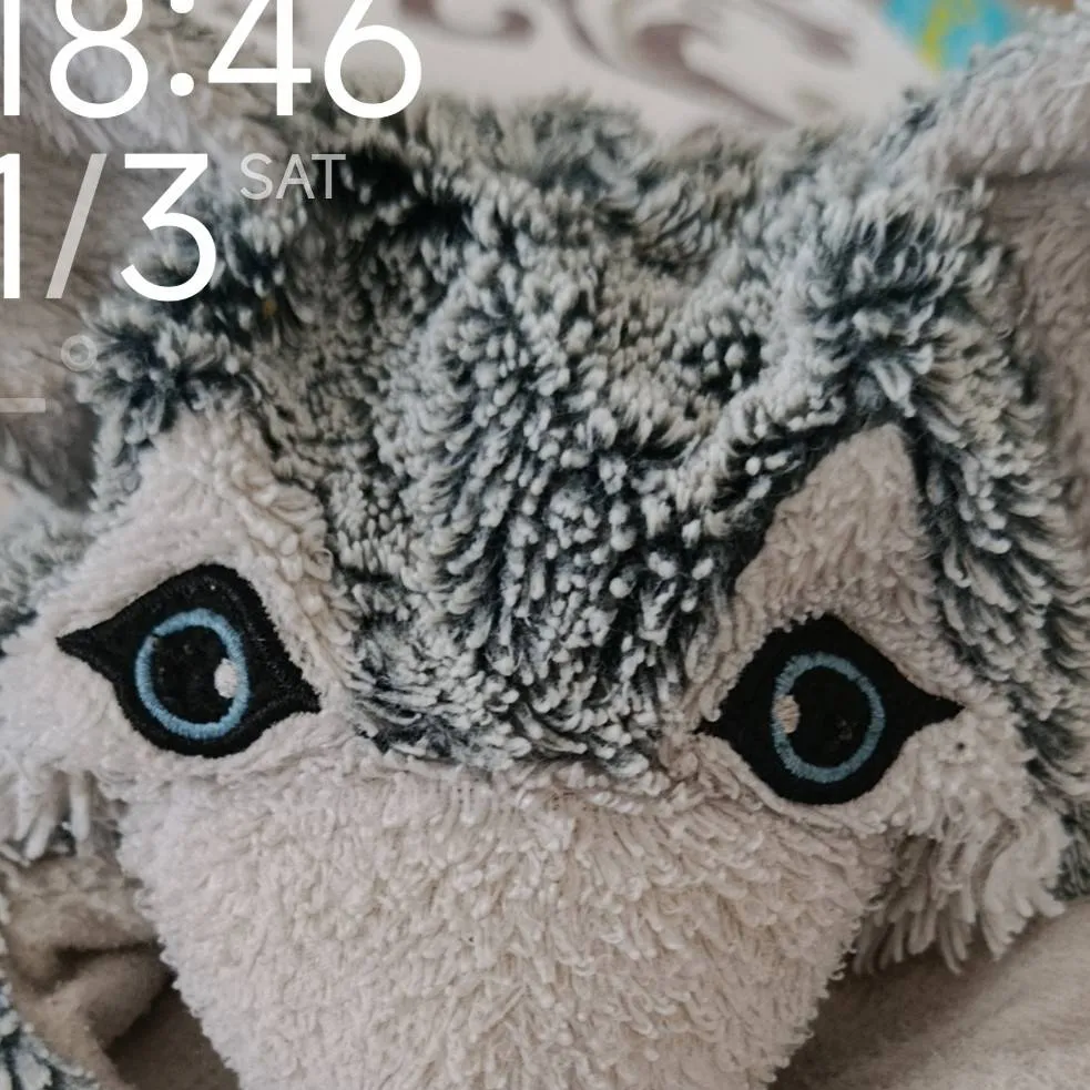 chat with ai character: orbthewolf