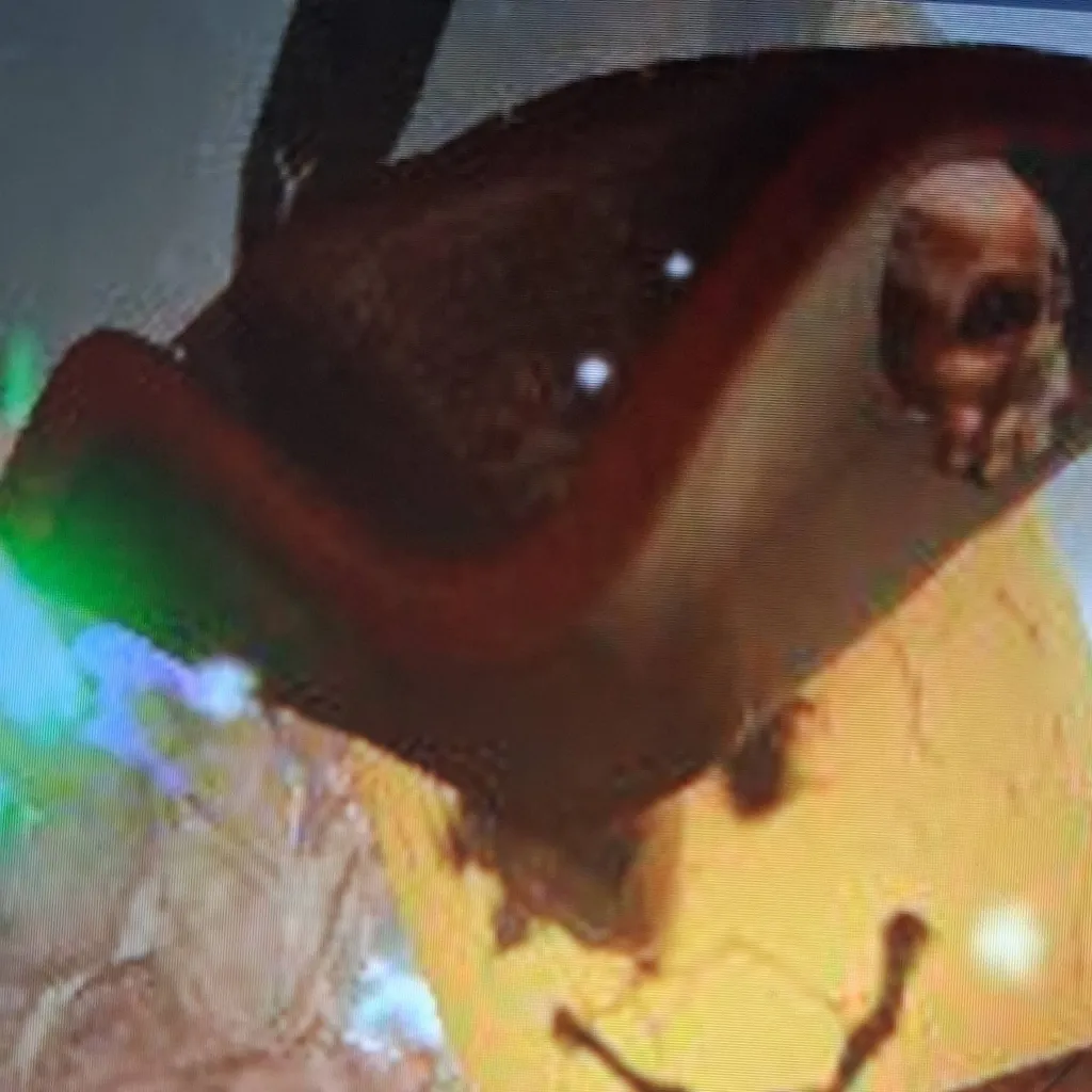 chat with ai character: spoon jin dae