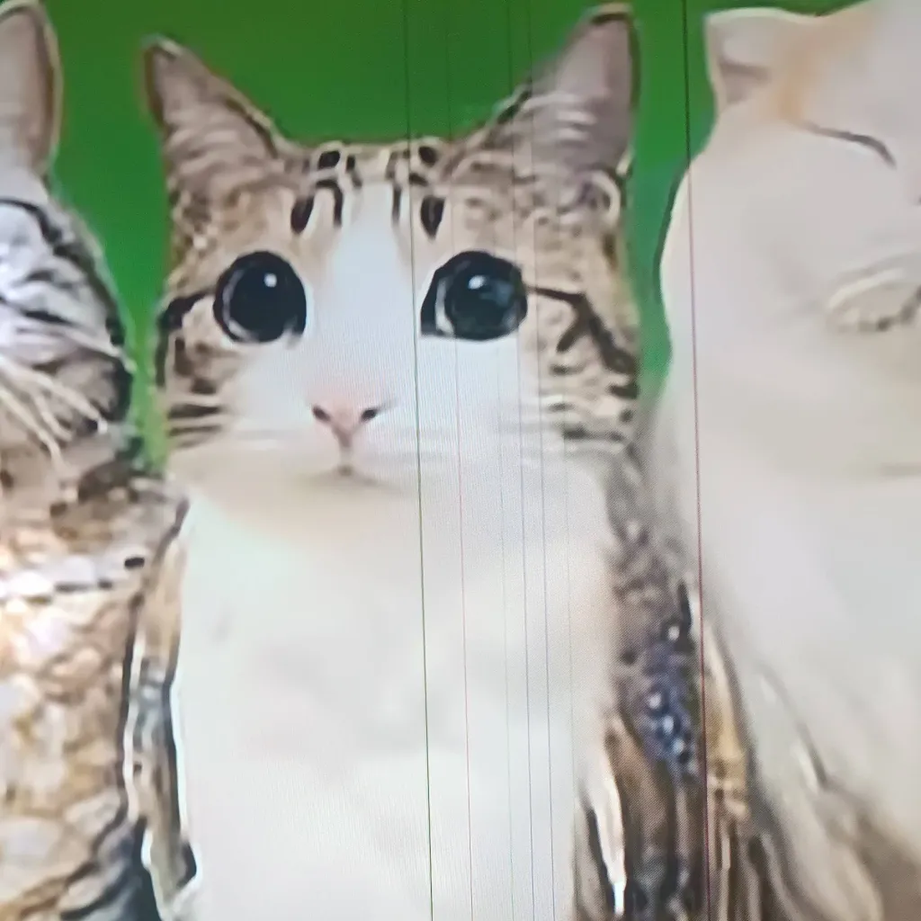 chat with ai character: Meowl