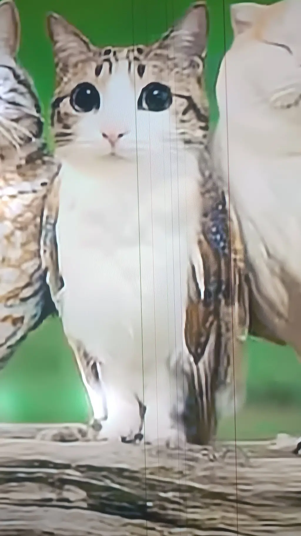 ai character: Meowl y sus amigos background