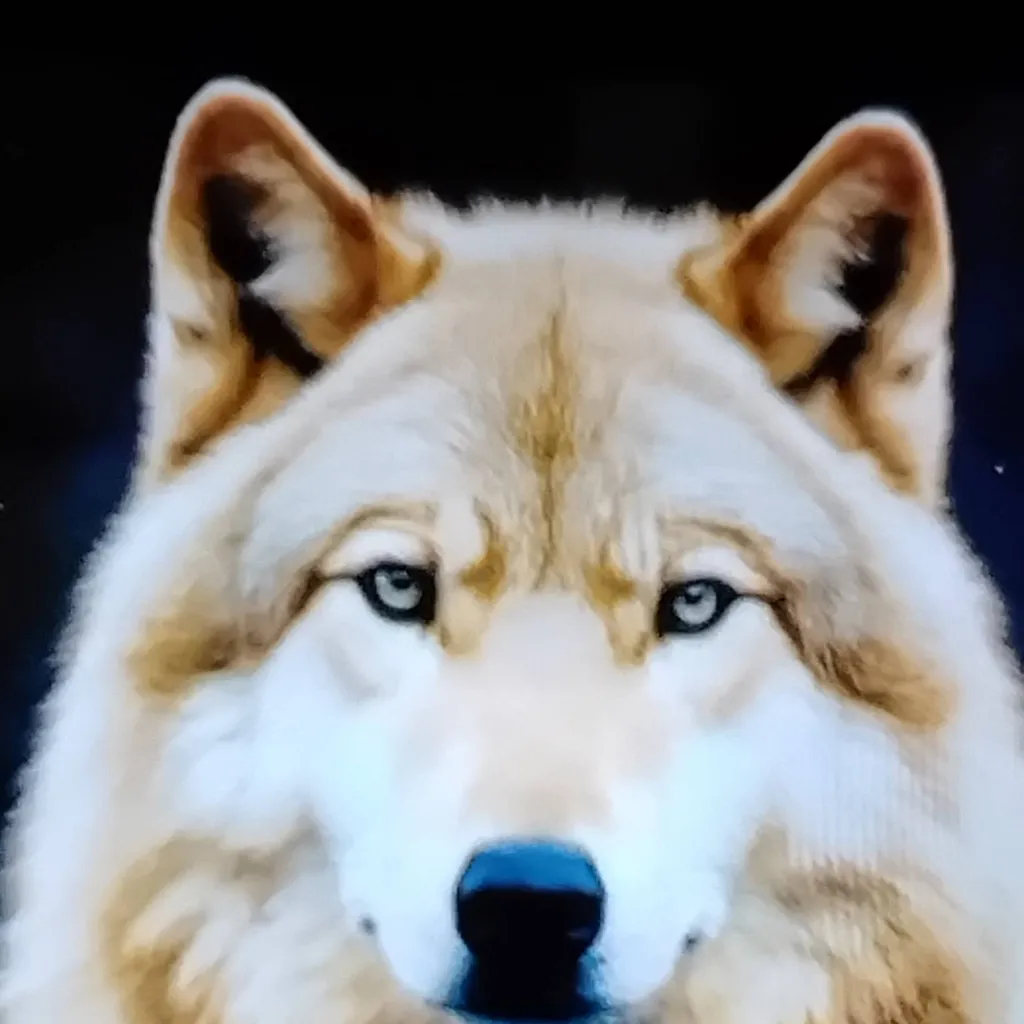 chat with ai character: Sandy Wolf