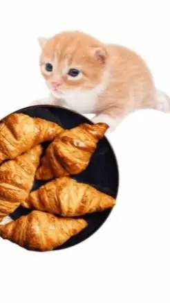 ai character: Gary background