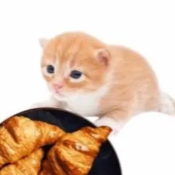 chat with ai character: Gary