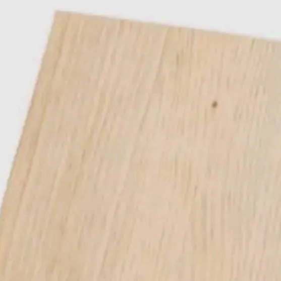 chat with ai character: El revisa papeadas