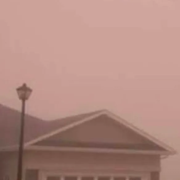 chat with ai character: Dandy's world AU