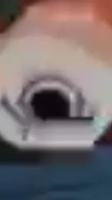 ai character: Shrimpo hates you background