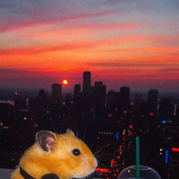 chat with ai character: ST P1