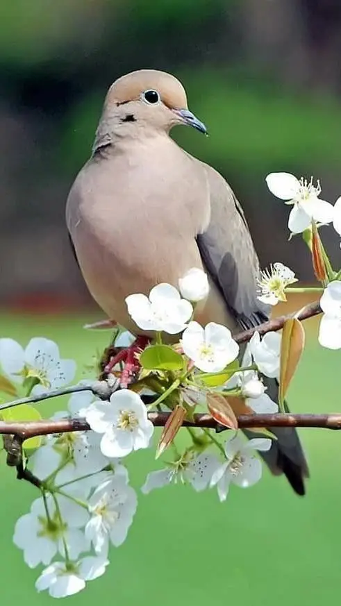 ai character: ST hotels! background