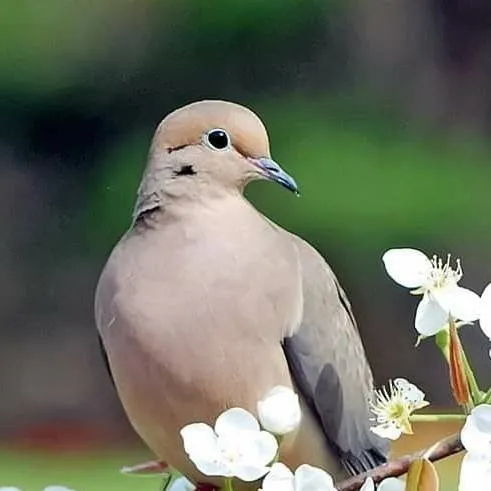 chat with ai character: ST hotels!