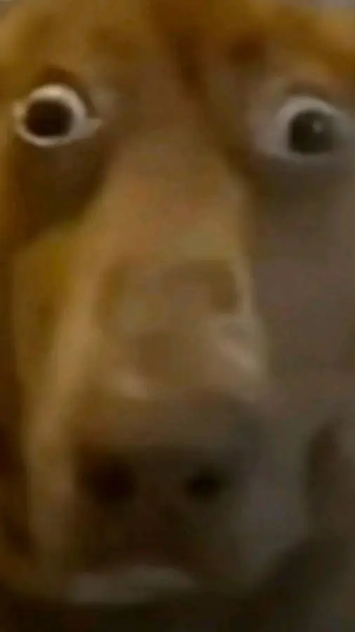 ai character: Stolitz  background