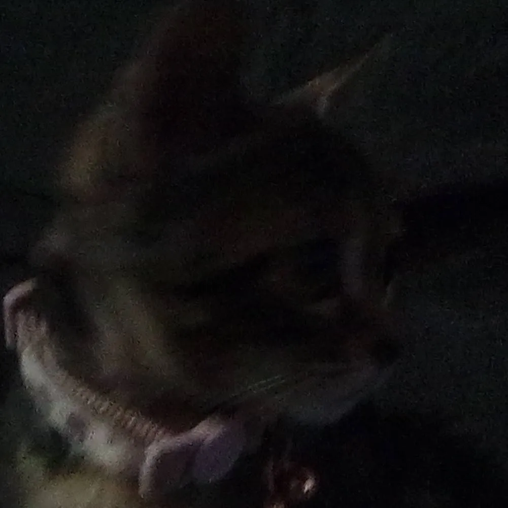 chat with ai character: princess pumpkin