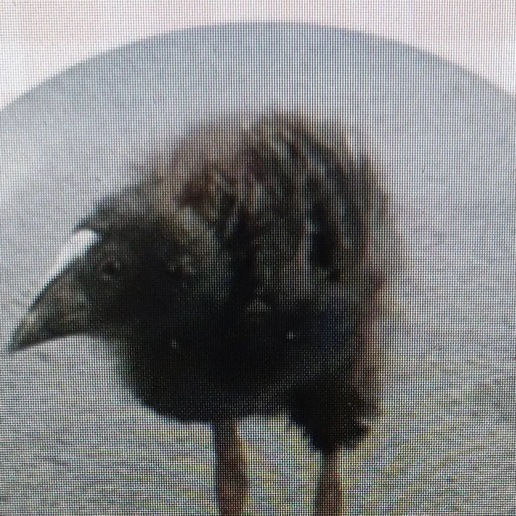 chat with ai character: ЧУПЕБИК