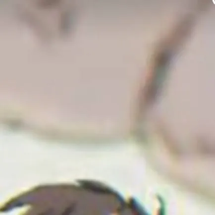 chat with ai character: tomtord✌️😆