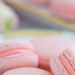 chat with ai character: CH (INFECTION)