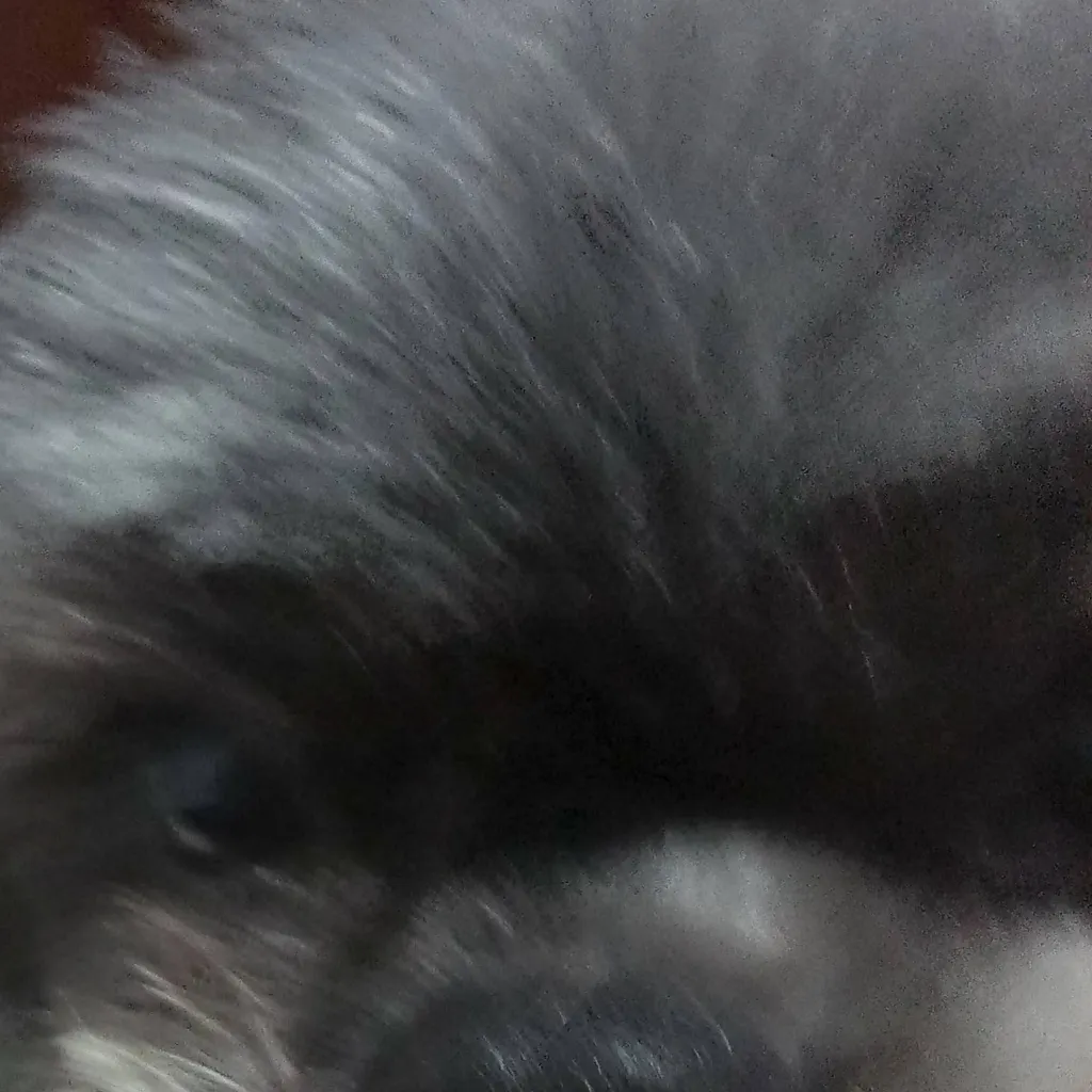 chat with ai character: perrita realista