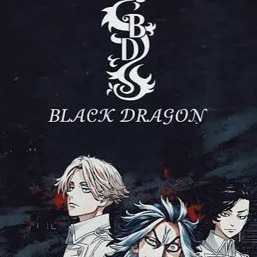 chat with ai character: black dragons 