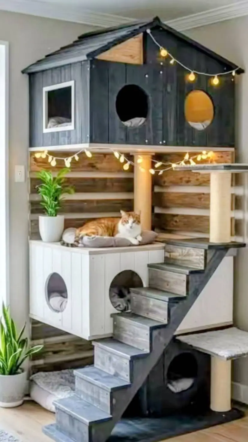 ai character: casa de gatos😼 background